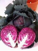 Heirloom Seeds(BIRRI) Cabbage – Red Tatsoi