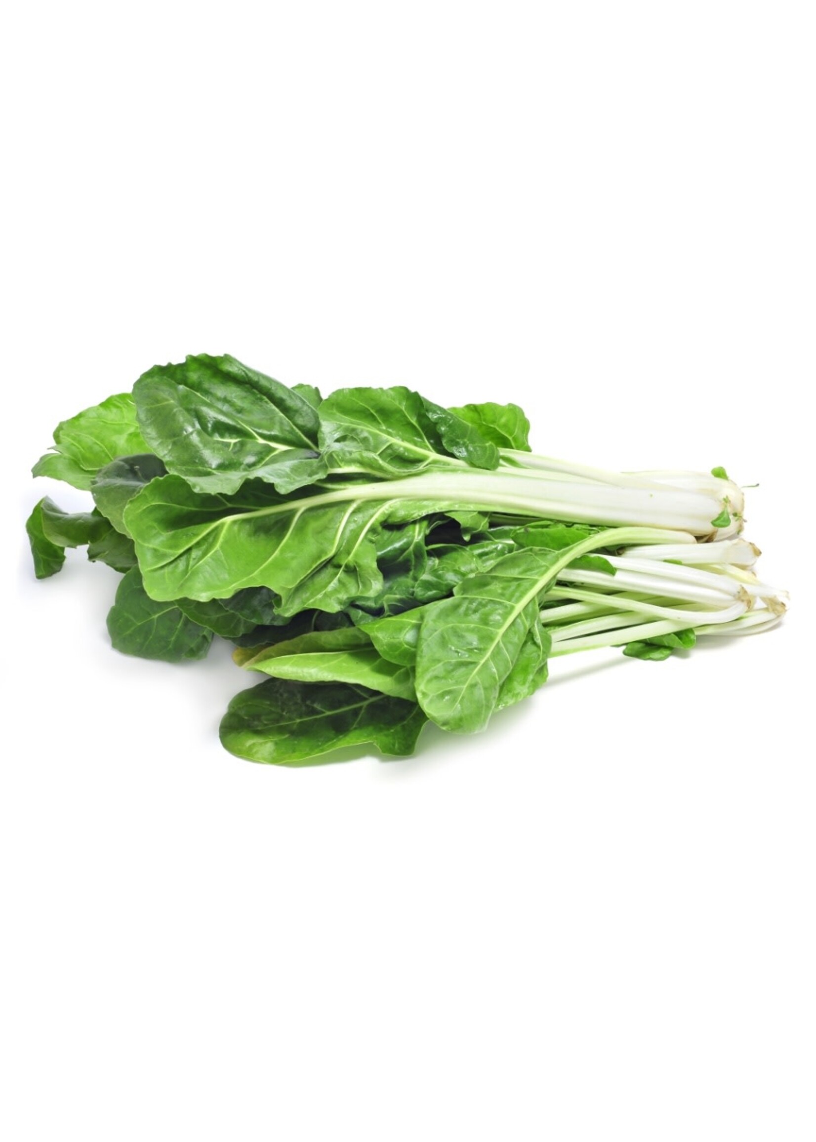 Heirloom Seeds(BIRRI) Swiss Chard – Giant Fordhook