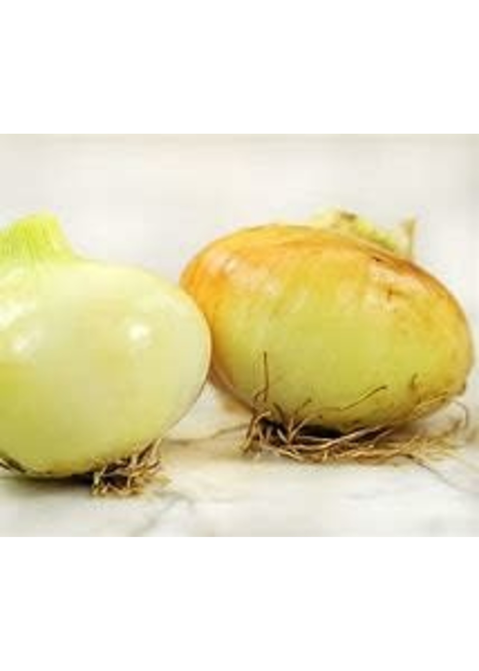 Heirloom Seeds(BIRRI) Onions – Yellow Spanish