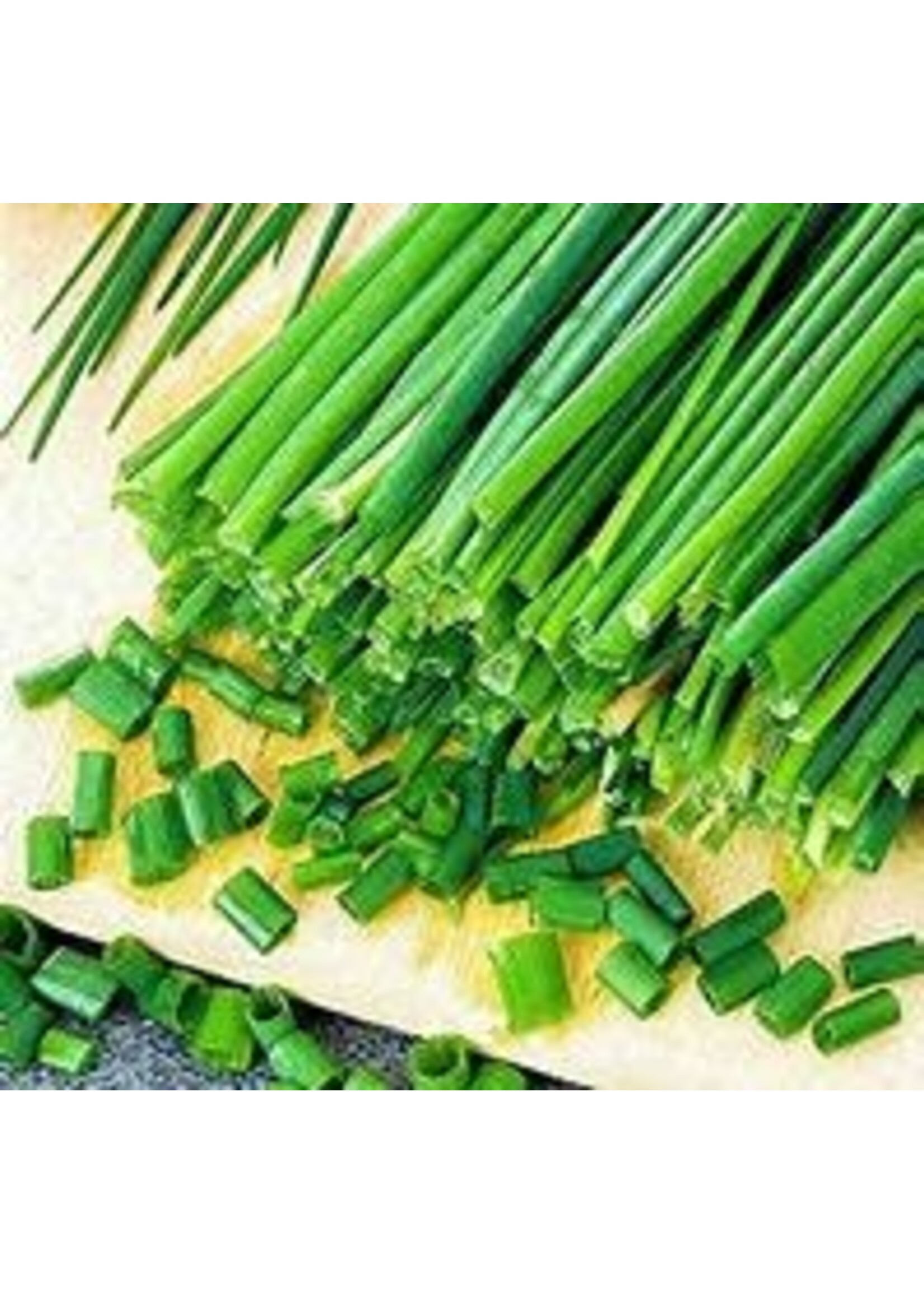 Heirloom Seeds(BIRRI) Chives – Common