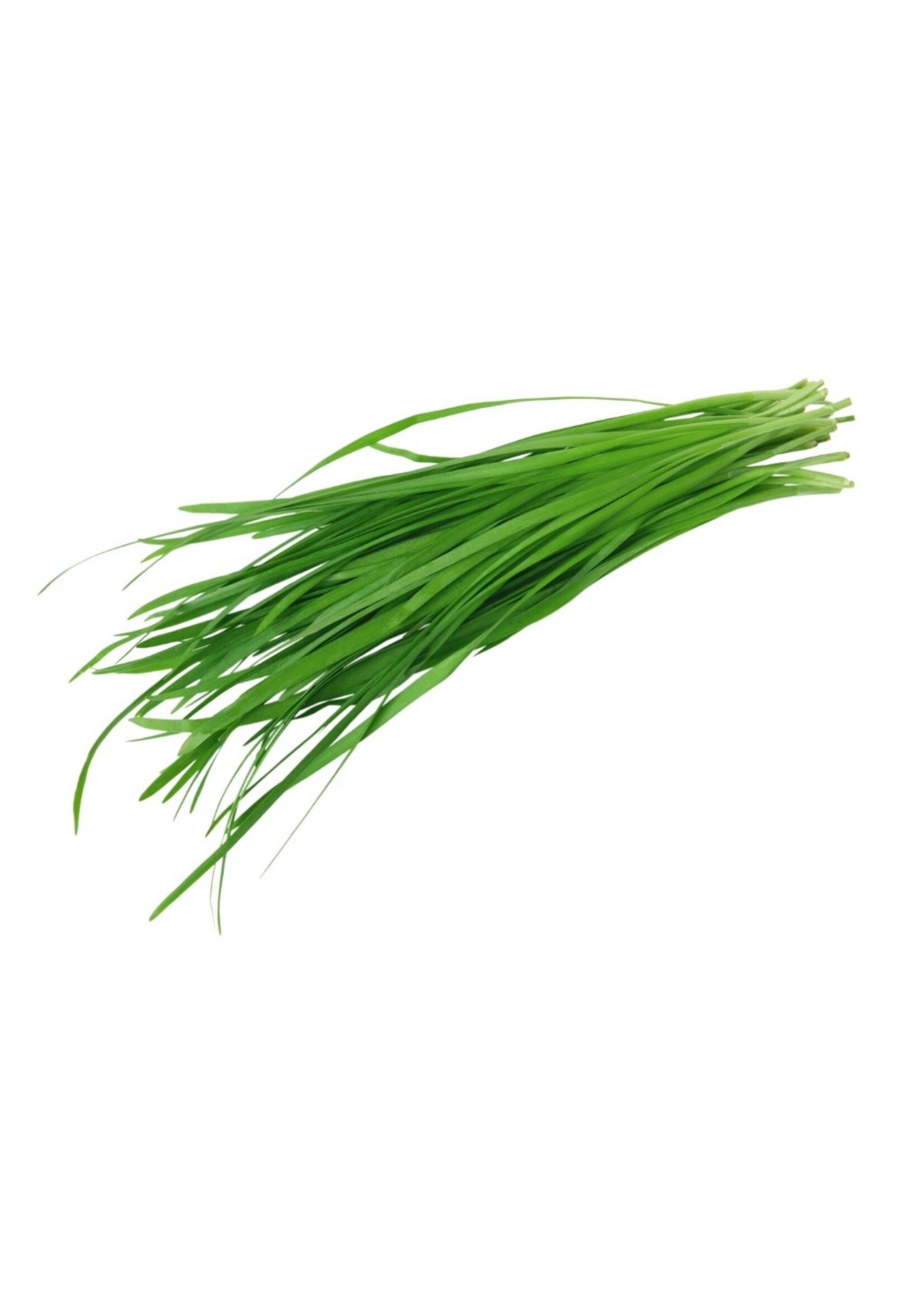 Heirloom Seeds(BIRRI) Chives – Garlic
