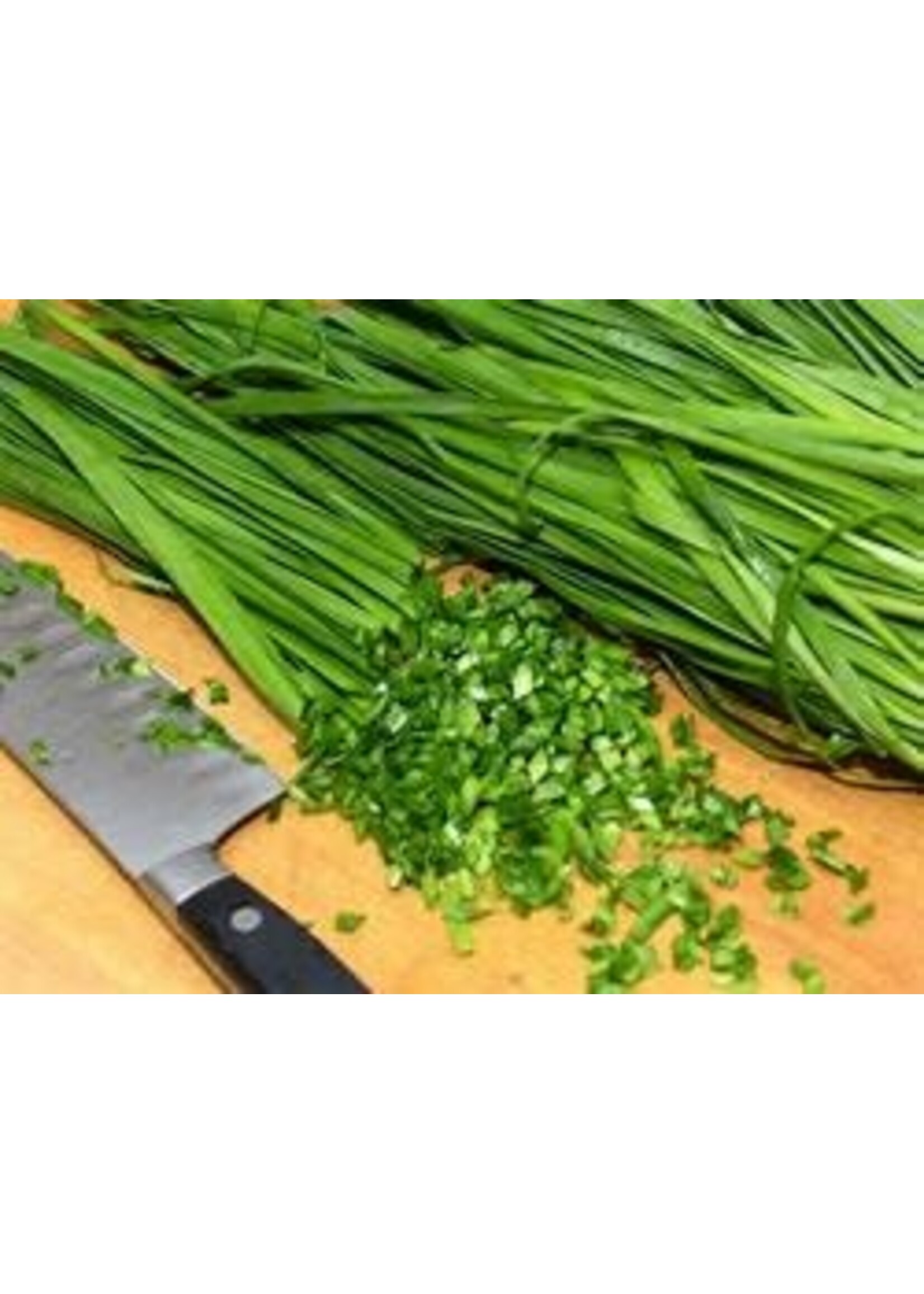 Heirloom Seeds(BIRRI) Chives – Garlic