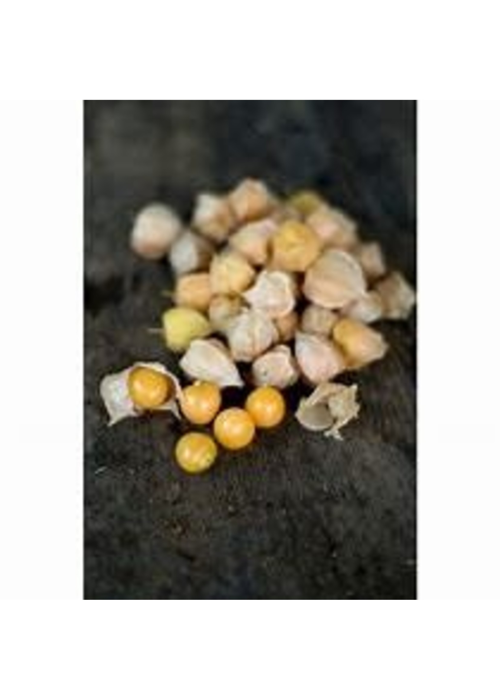 Heirloom Seeds(BIRRI) Cherries - Ground cherry Aunt Molly
