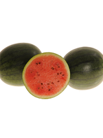 Heirloom Seeds(BIRRI) Melons – Sugar Baby Watermelon
