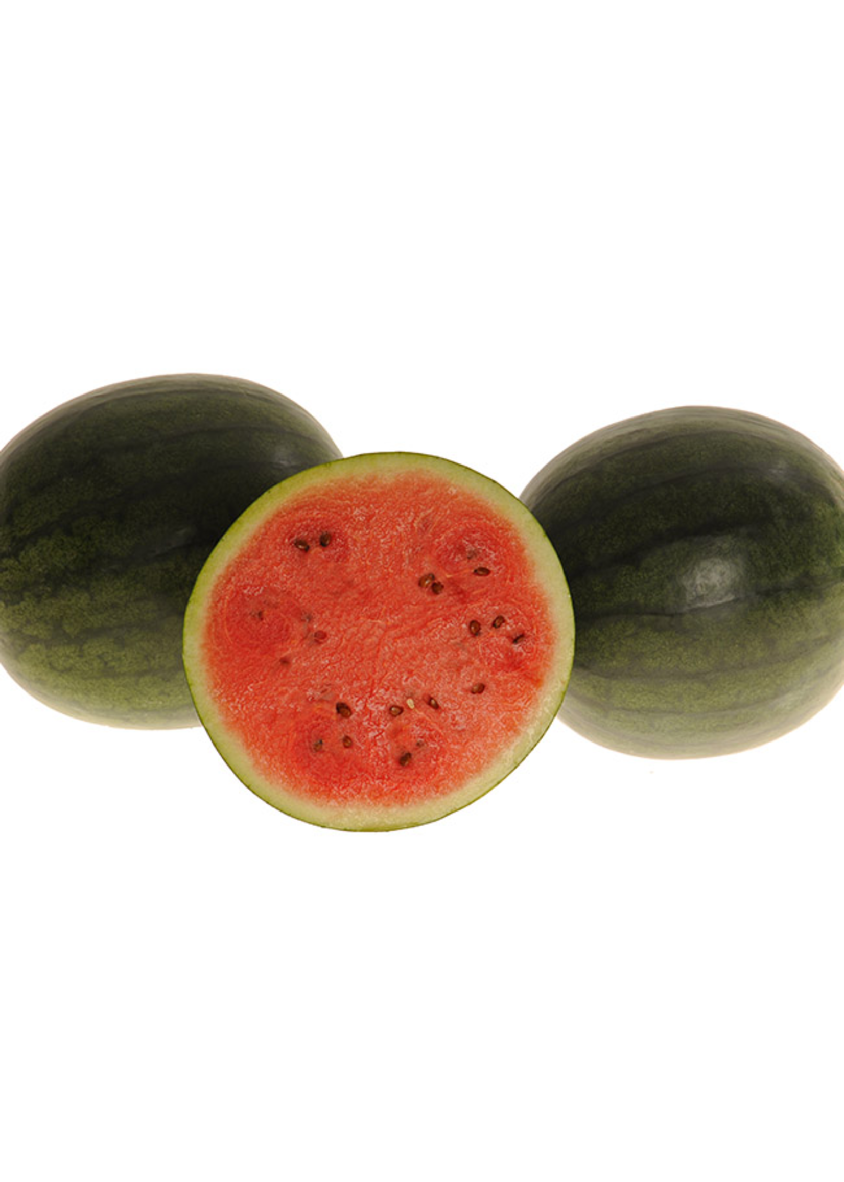 Heirloom Seeds(BIRRI) Melons – Sugar Baby Watermelon