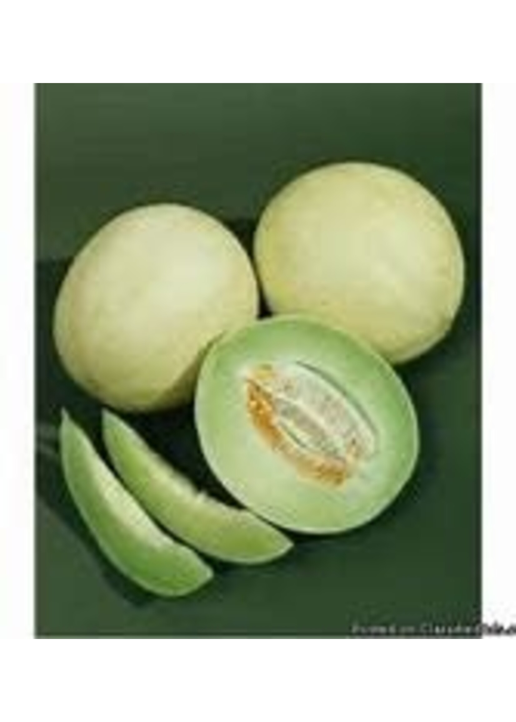 Heirloom Seeds(BIRRI) Melons – Honeydew Green Flesh