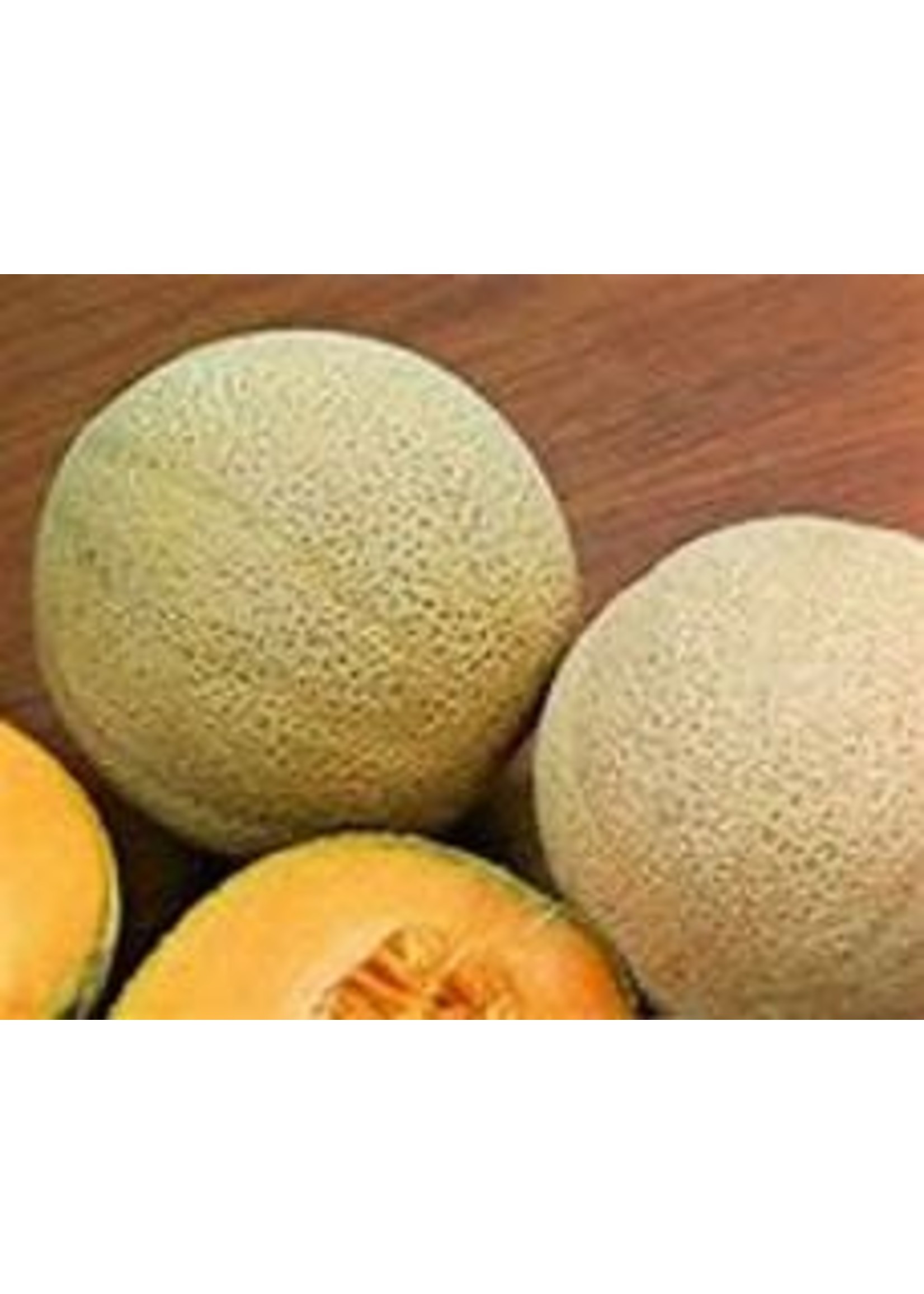 Heirloom Seeds(BIRRI) Cantaloupe Melons – Hale’s Best