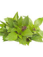 Heirloom Seeds(BIRRI) Basil – Thai