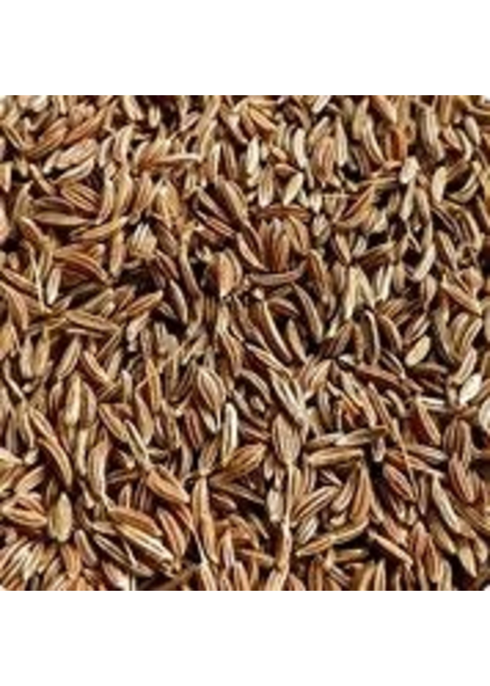 Heirloom Seeds(BIRRI) Caraway