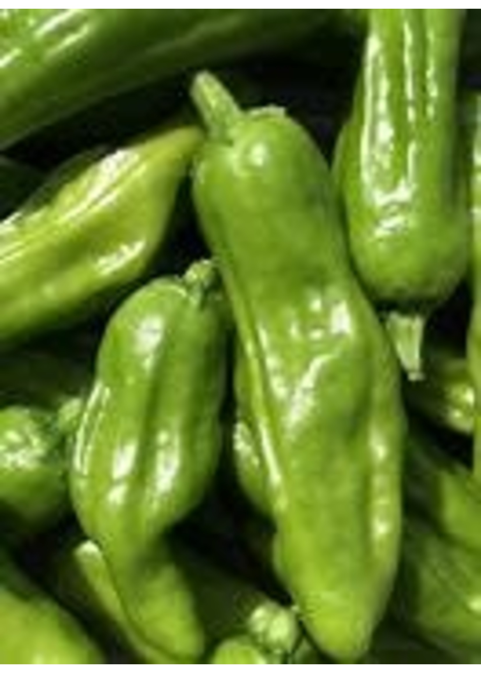 Heirloom Seeds(BIRRI) Hot Peppers – Pepperoncini