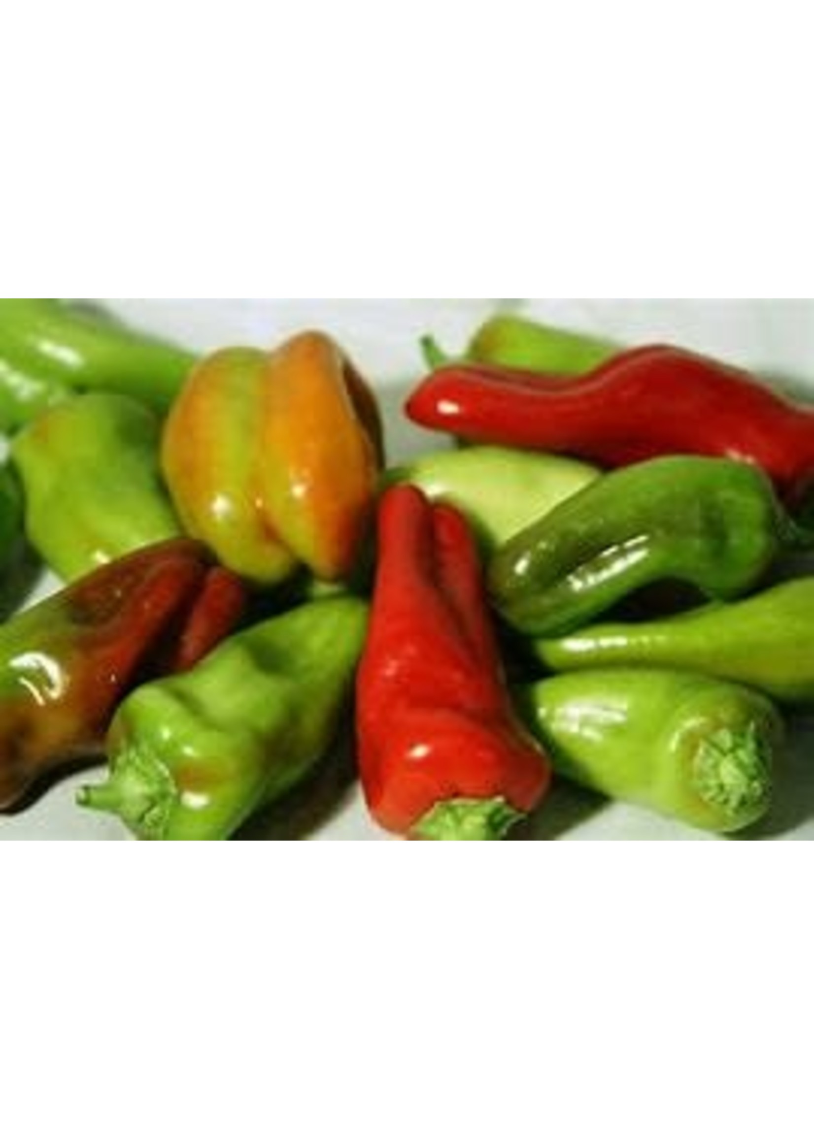 Heirloom Seeds(BIRRI) Pepper – Sweet Cubanelle