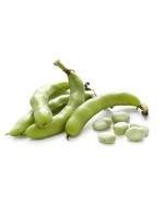 Heirloom Seeds(BIRRI) Bean– Fava Vroma