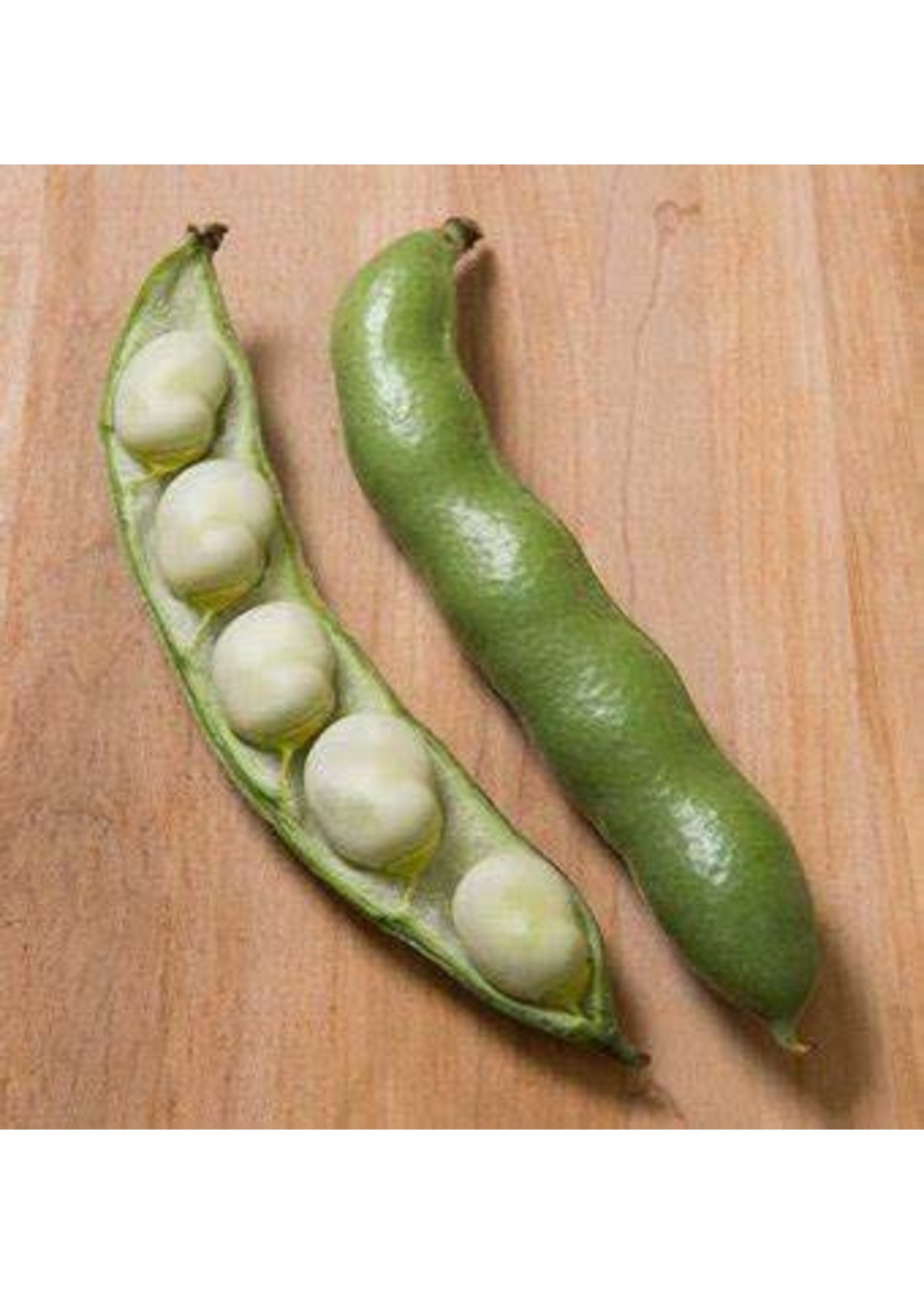 Heirloom Seeds(BIRRI) Beans– Fava Vroma