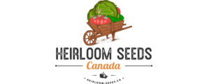 Heirloom Seeds(BIRRI)