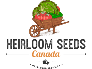 Heirloom Seeds(BIRRI)