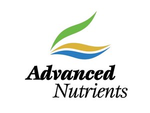 Advanced