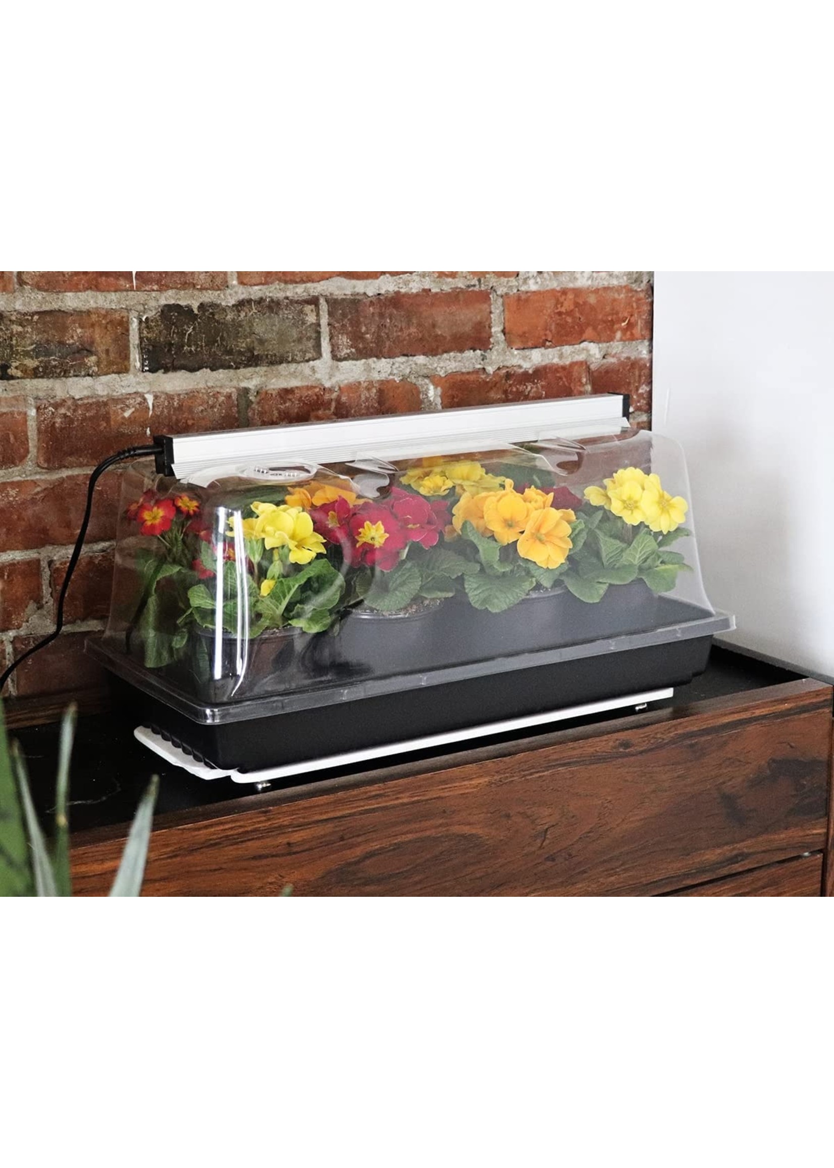 SunBlaster Prismatic LED Mini Greenhouse Kit