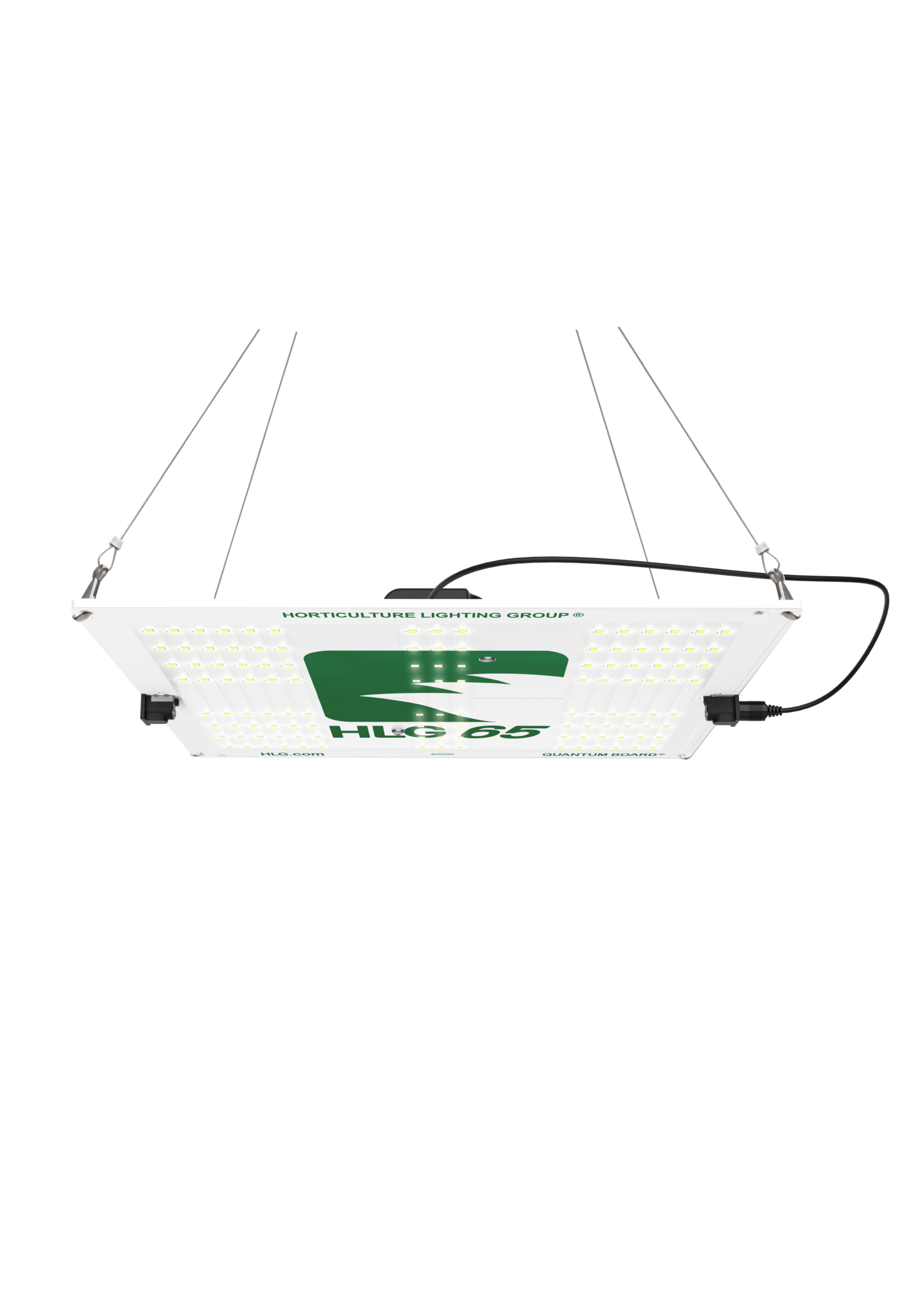 Horticulture Lighting Group HLG 65 V2 (Special Order)