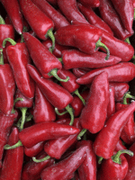 Heirloom Seeds(BIRRI) Hot Pepper – Gorria (Espelette type)