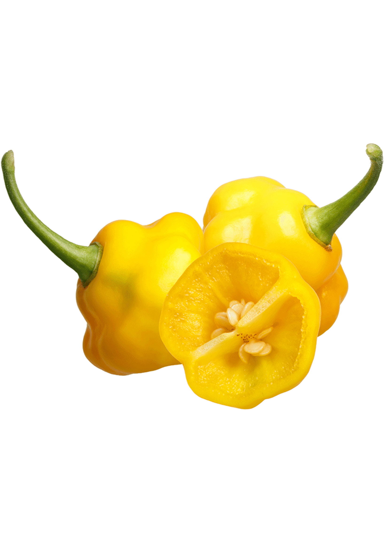 Heirloom Seeds(BIRRI) Pepper – Sweet Habanero Trinidad Perfume