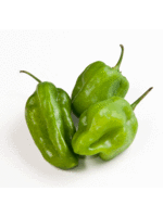Heirloom Seeds(BIRRI) Pepper – Sweet Habanero Aji Dulce