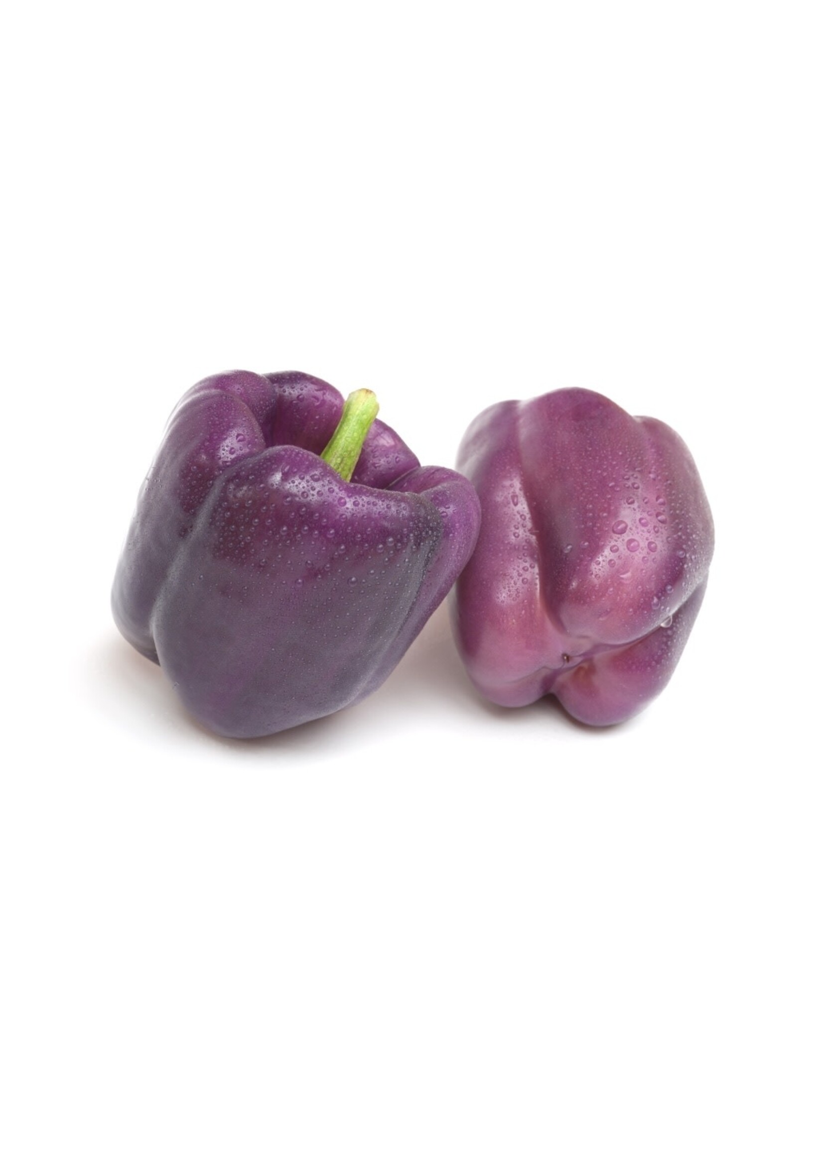 Heirloom Seeds(BIRRI) Pepper – Bell Pepper Purple Beauty