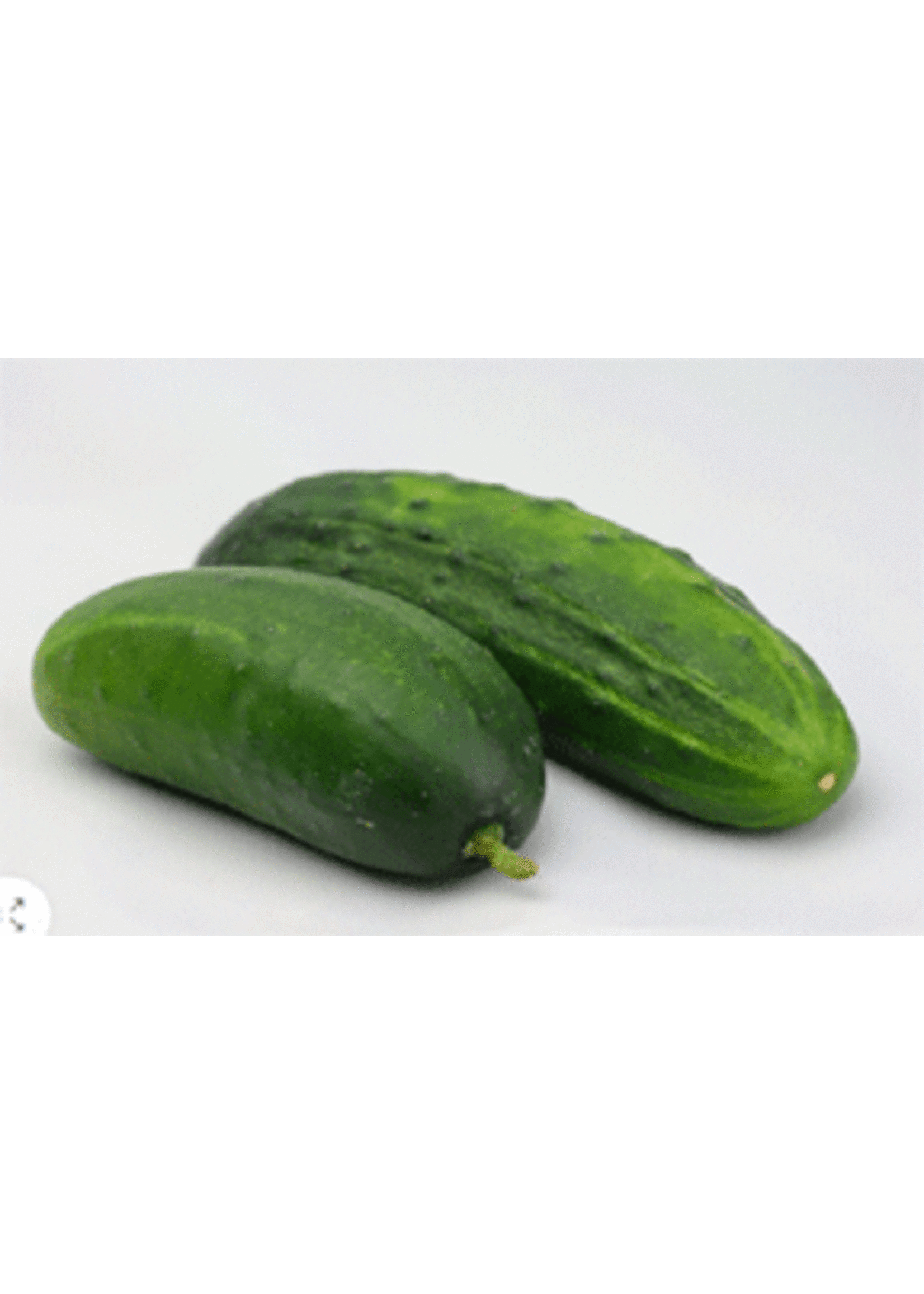 Heirloom Seeds(BIRRI) Cucumber – Bush Pickle