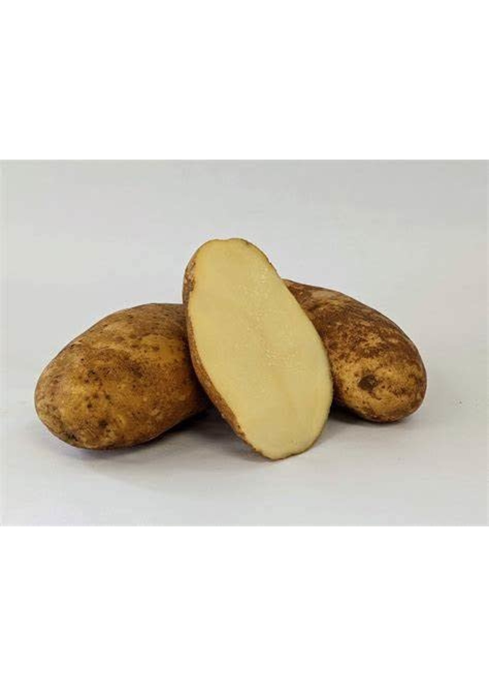 Russet Burbank Potato