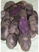 Violet Queen Potato 500g