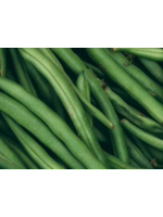 Heirloom Seeds(BIRRI) Bean – Bush Green Jade
