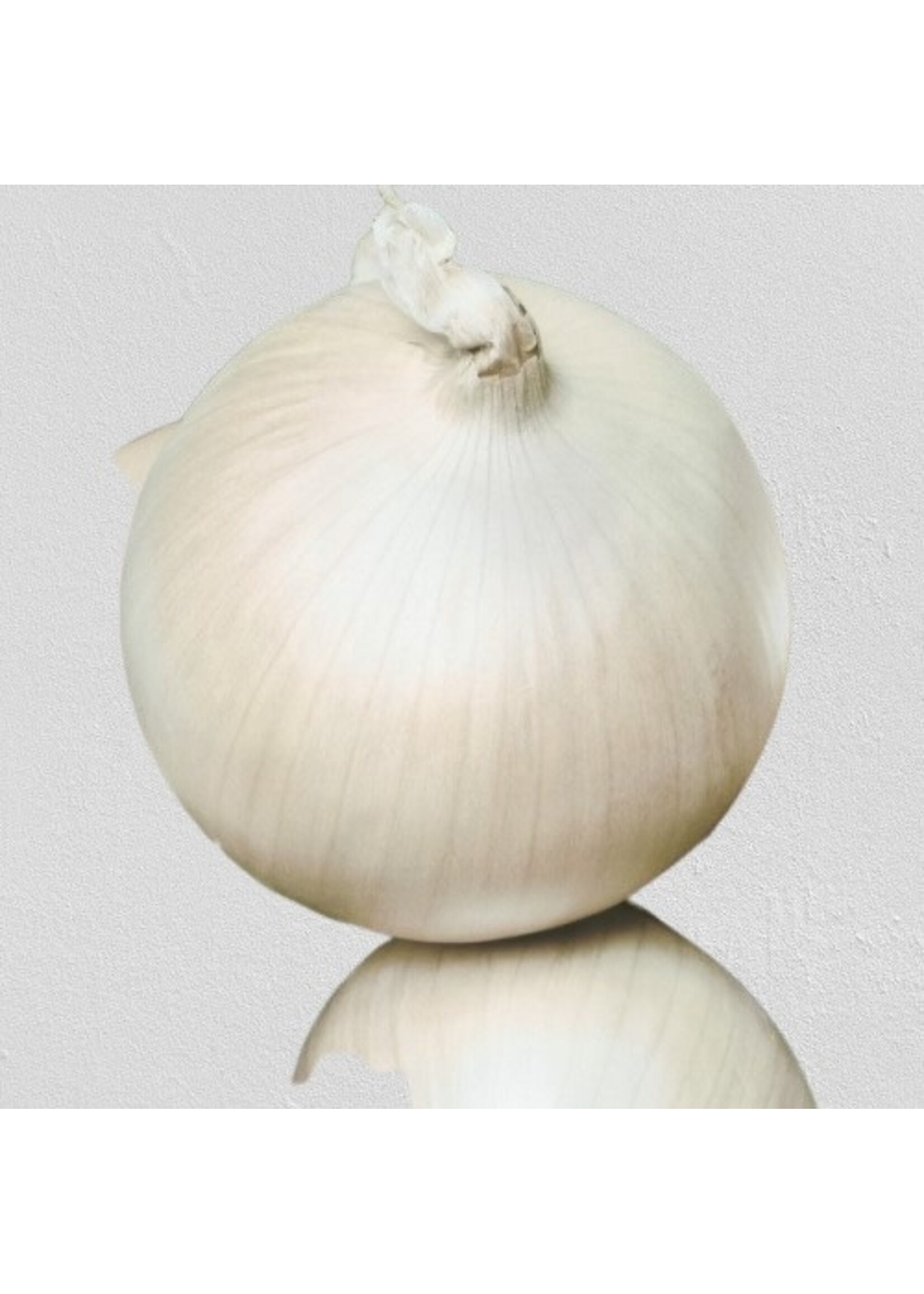 Heirloom Seeds(BIRRI) Onion – White Spanish