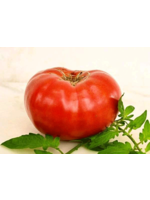 Heirloom Seeds(BIRRI) Tomato – Watermelon Beefsteak
