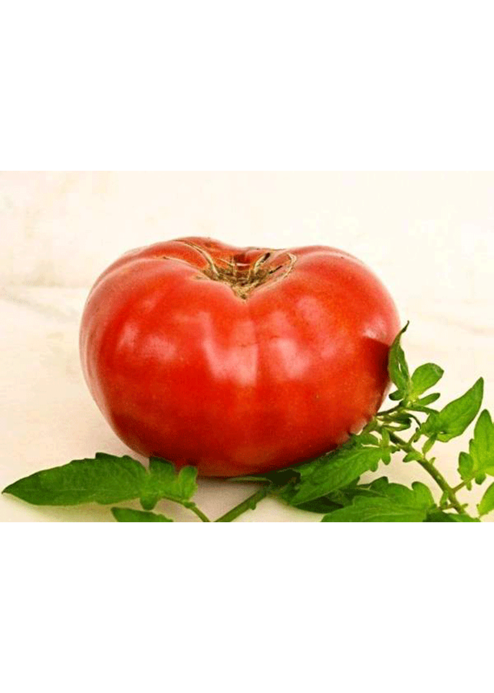 Heirloom Seeds(BIRRI) Tomato – Watermelon Beefsteak