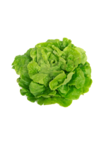 Heirloom Seeds(BIRRI) Lettuce – Tom Thumb