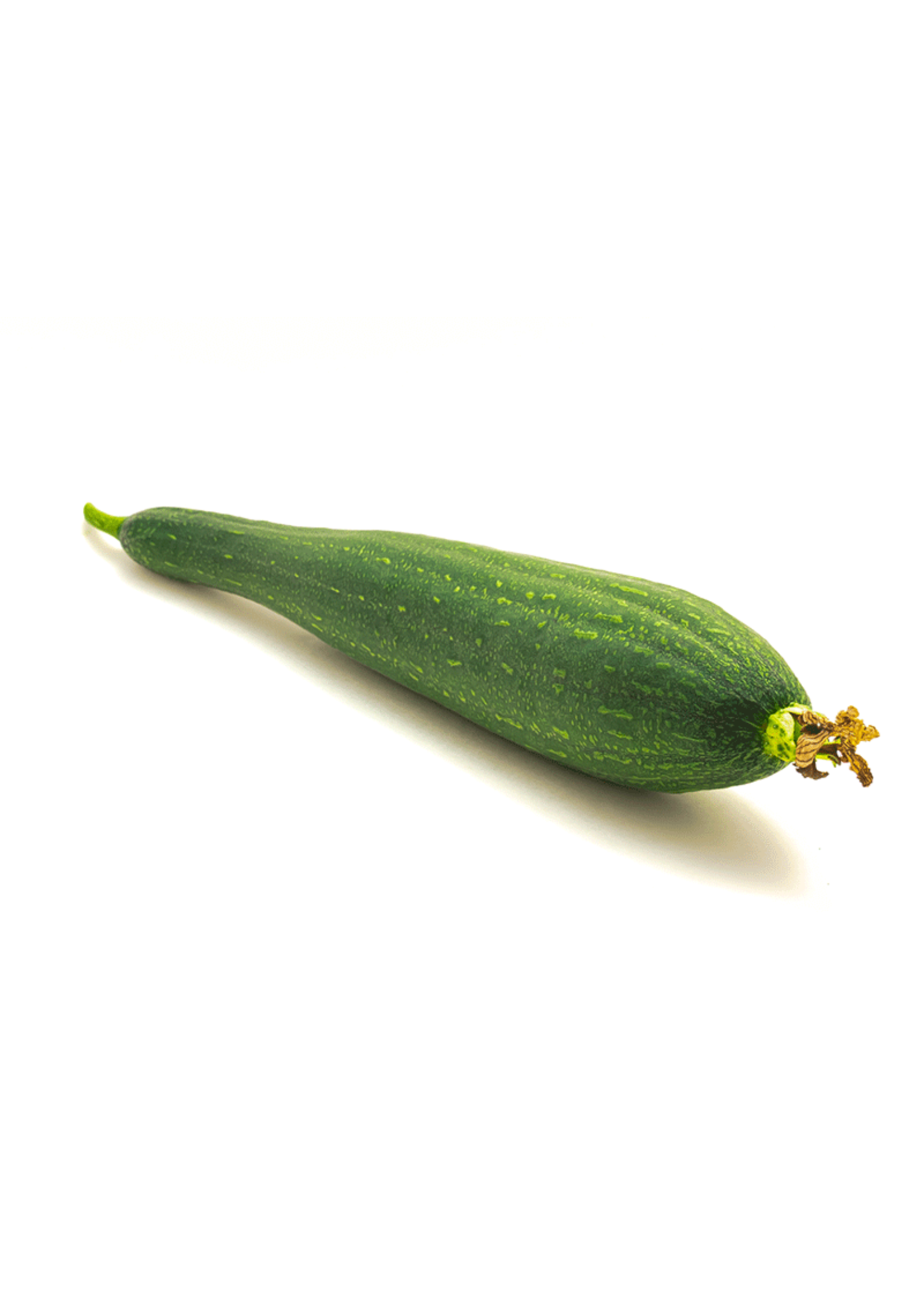 Heirloom Seeds(BIRRI) Squash – Luffa Gourd
