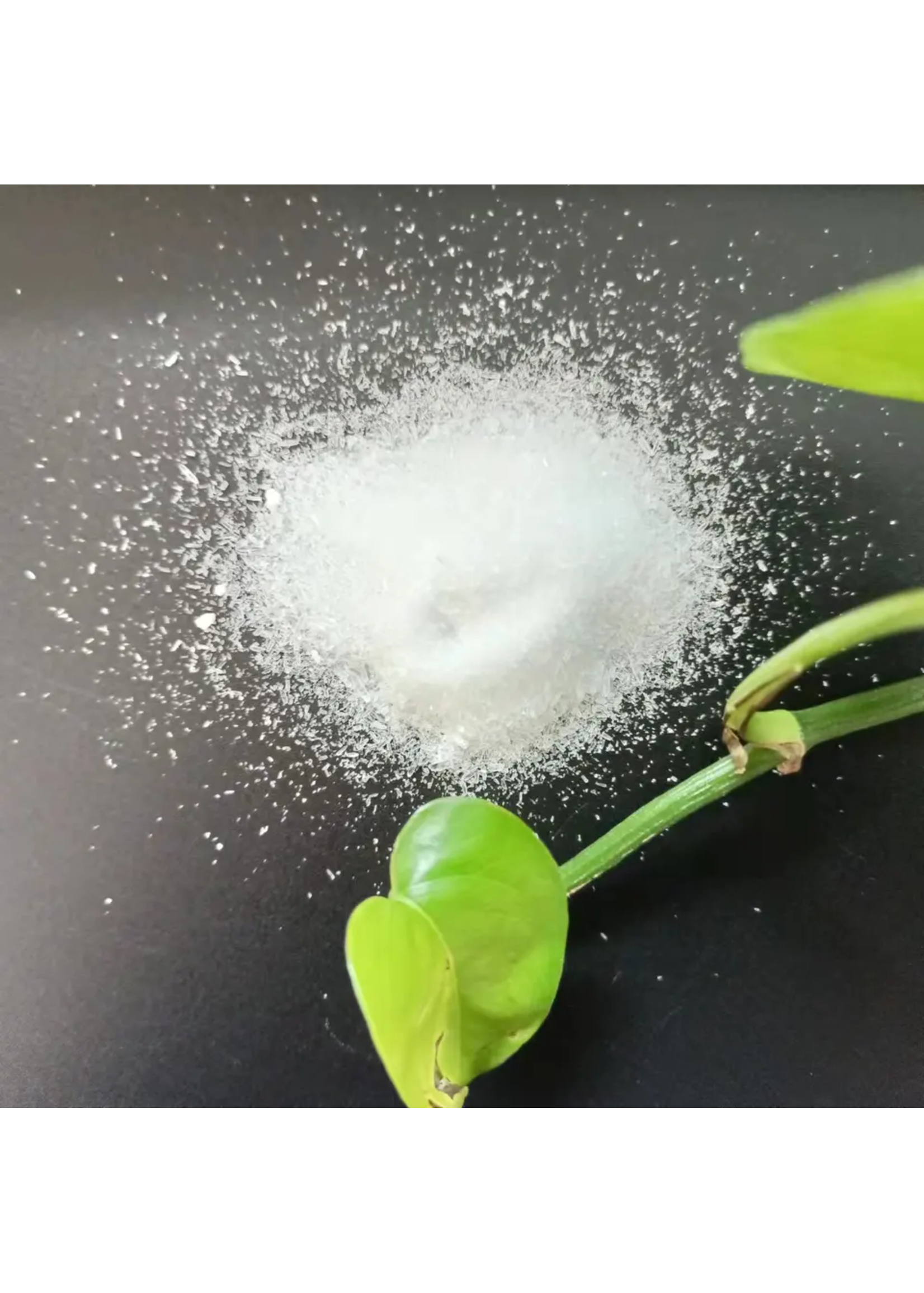Greenleaf Nutrients Bud Explosion 0-21-40