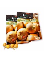 Urban Balconist Urban balconist  Yellow Onion