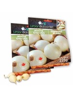Urban Balconist Urban Balconist White Onion