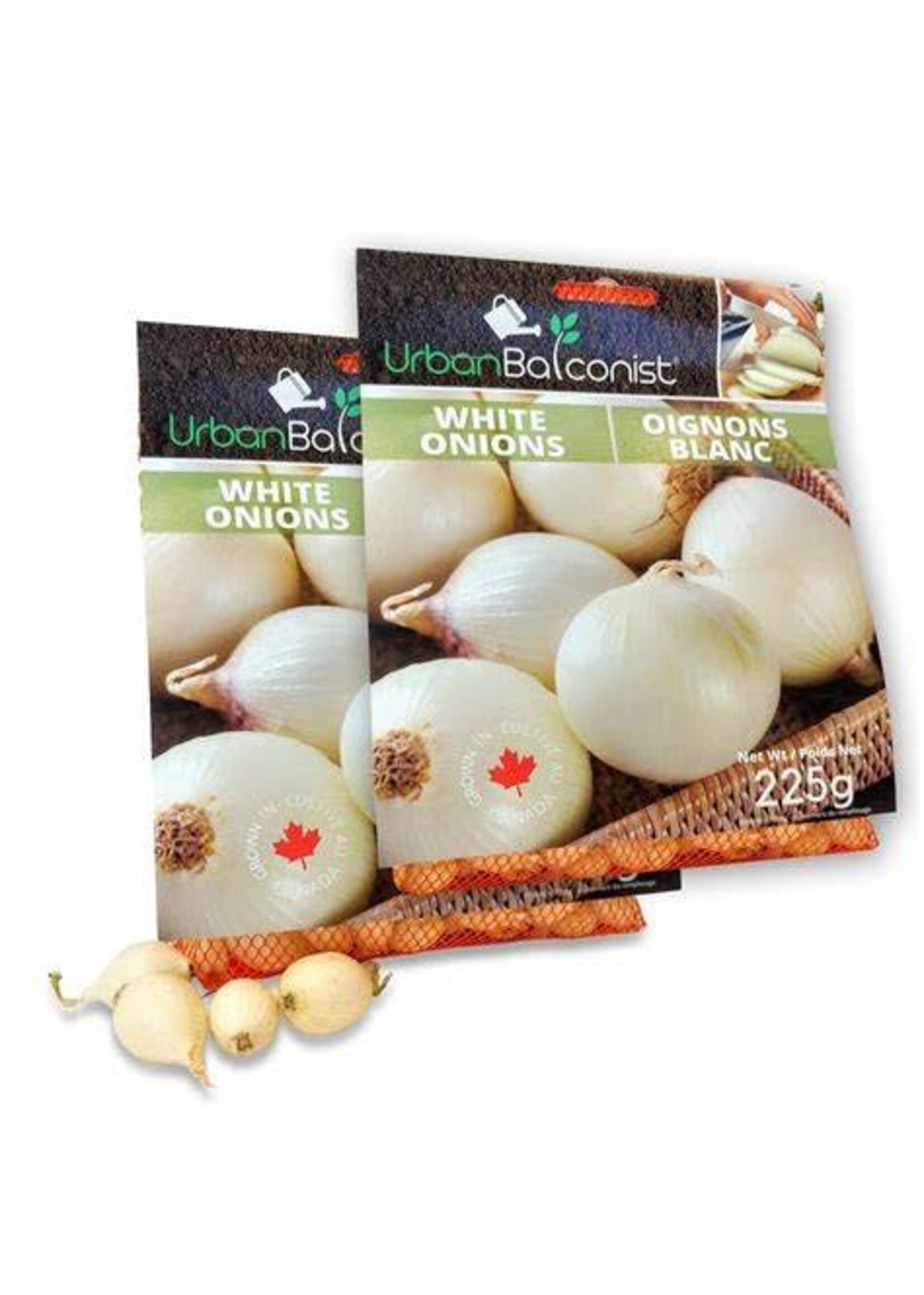 Urban Balconist Urban Balconist White Onion