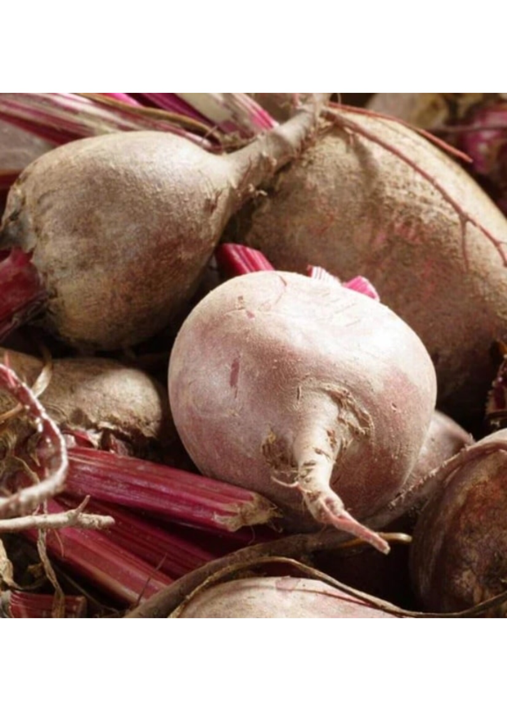 WestCoast Seeds Detroit Supreme Beet