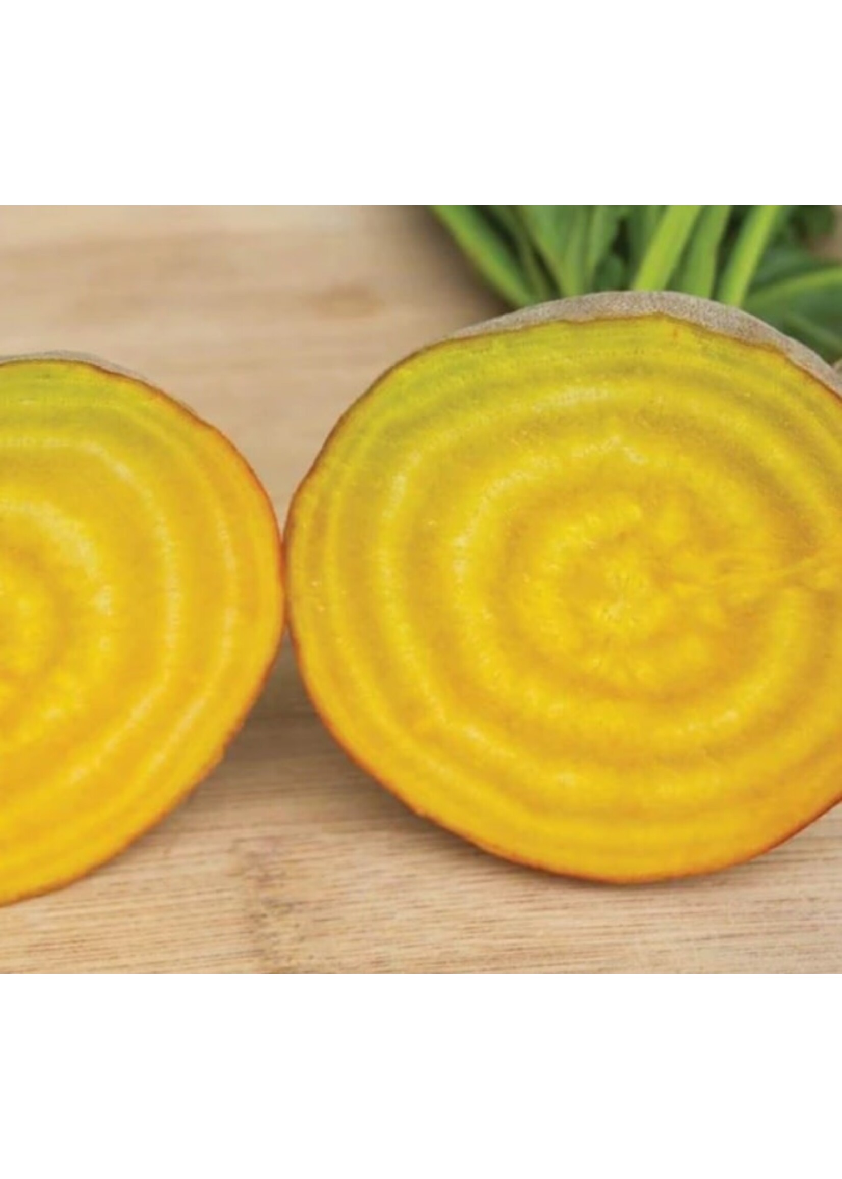WestCoast Seeds Touchstone Gold Beet