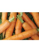WestCoast Seeds Carrots Little Fingers