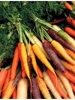 WestCoast Seeds Carrot Rainbow Blend