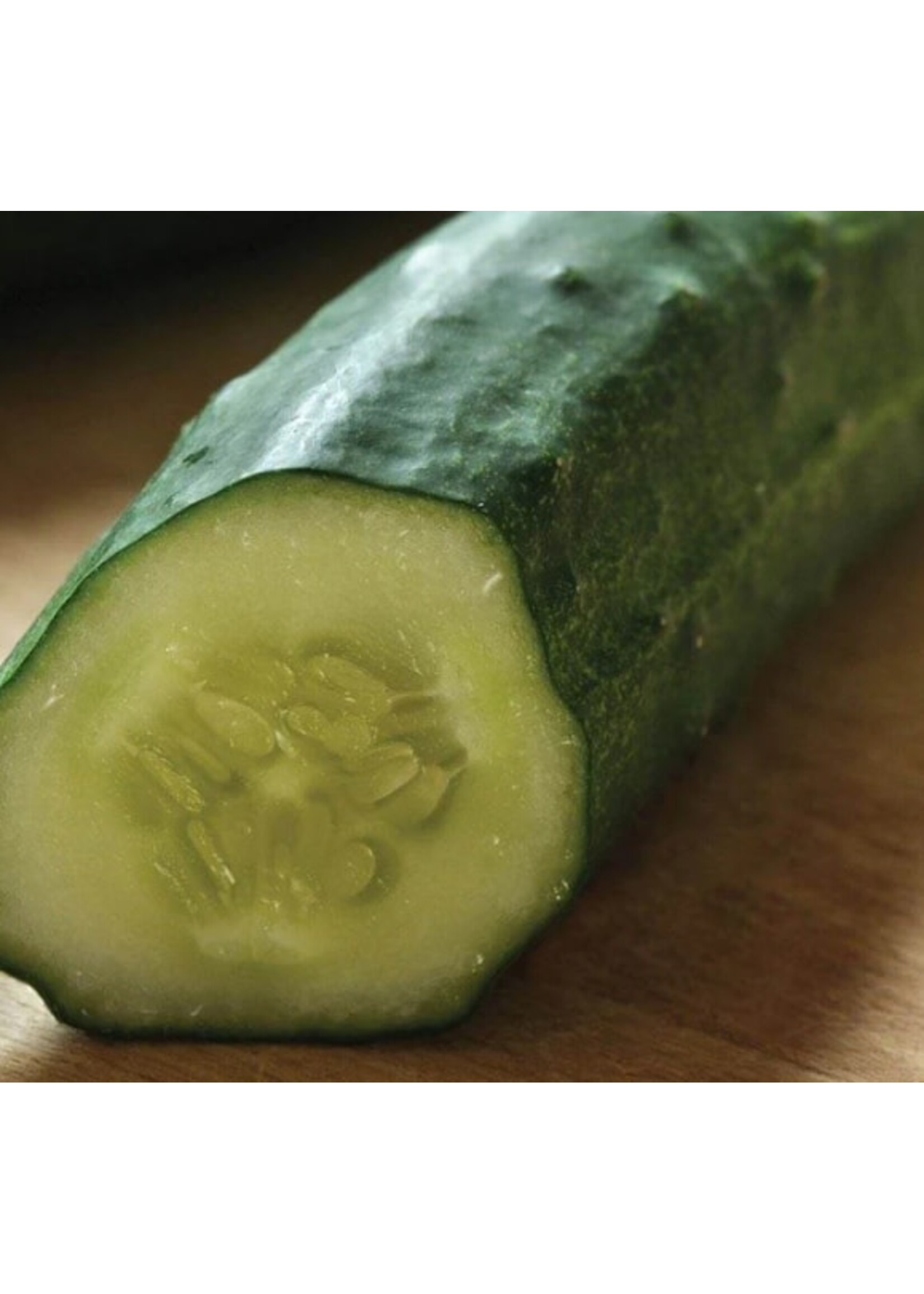 WestCoast Seeds Cucumber Patio Snacker