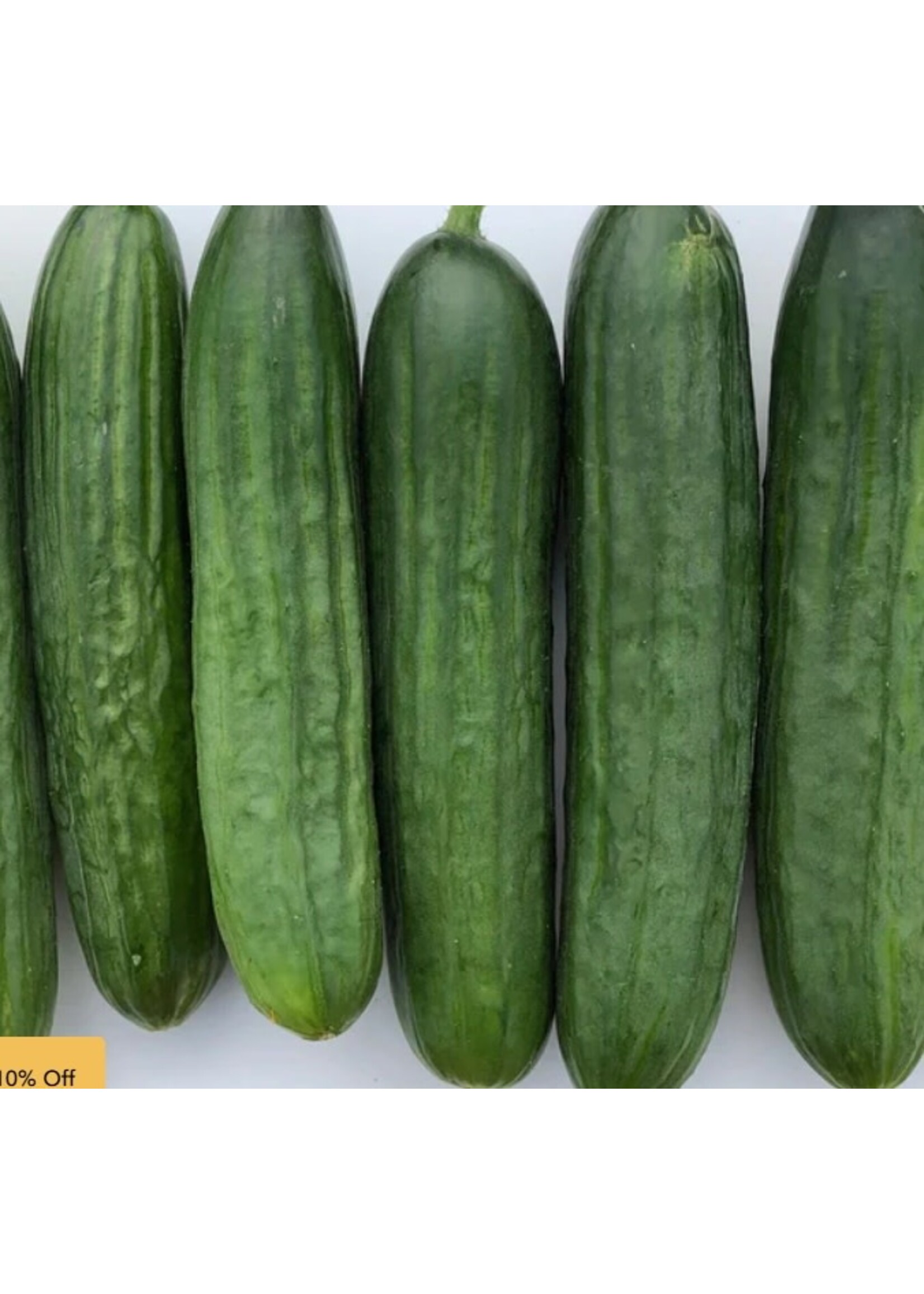 WestCoast Seeds Cucumber Manny F1
