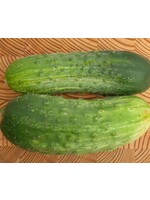 WestCoast Seeds Cucumber Homemade Pickles