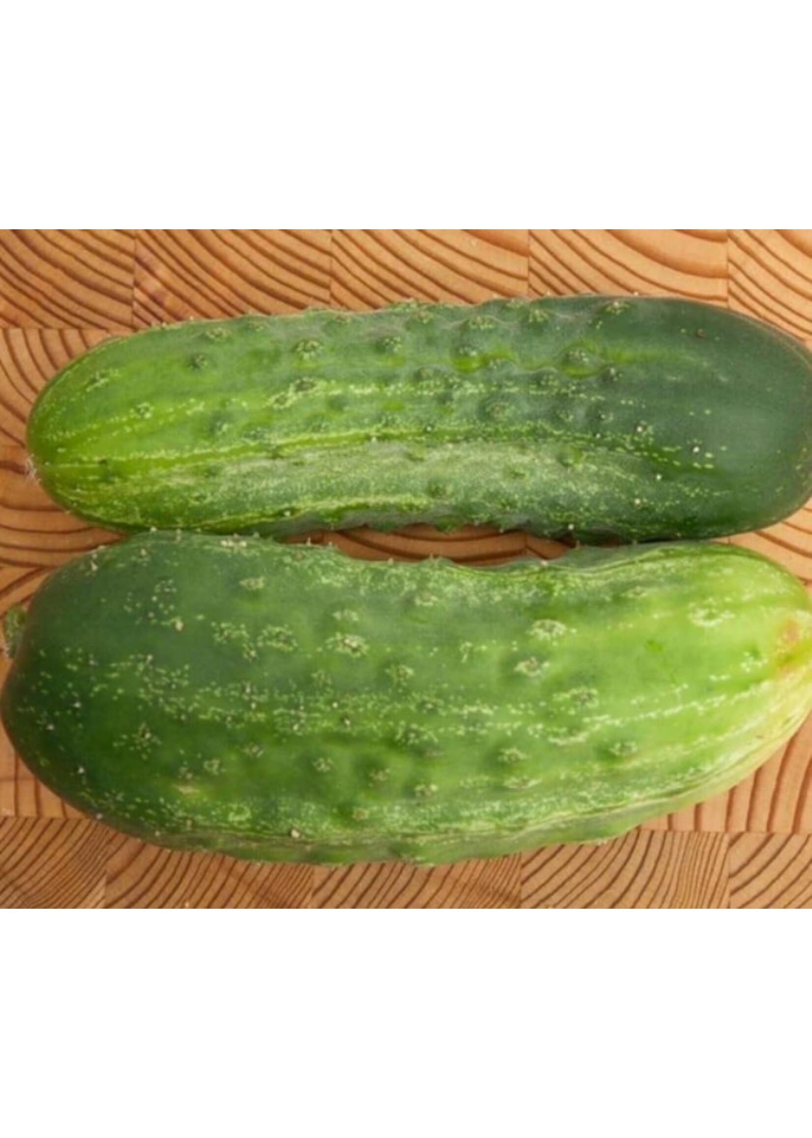 WestCoast Seeds Cucumber Homemade Pickles