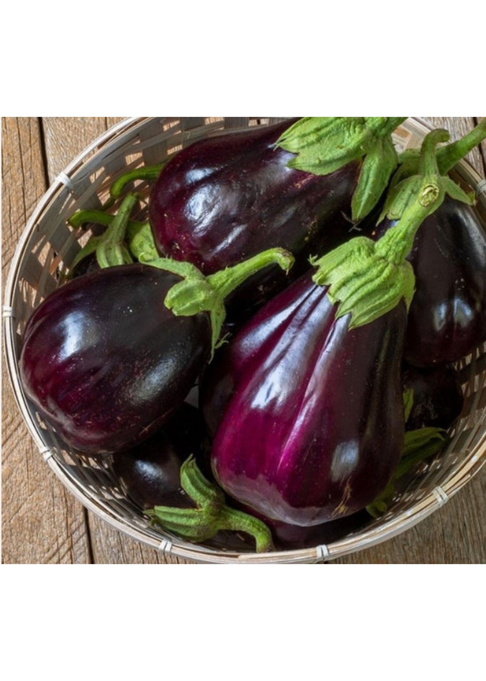 WestCoast Seeds Eggplant Black Beauty Organic