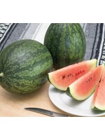WestCoast Seeds Black Beauty Mini Watermelon