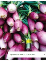 WestCoast Seeds Onion- Apache Bunching Onion